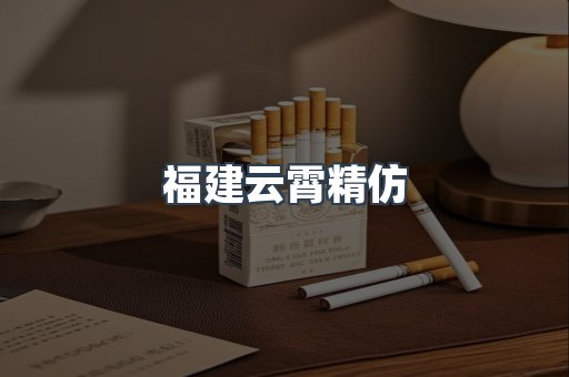 福建云霄精仿